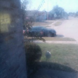 Meet your Posher, Hayden